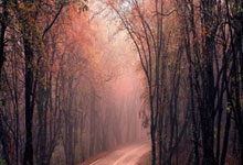 马拉松亲密事件拍摄者最新发声：不是剧本，不认识这两位选手担心两人现在的处境.