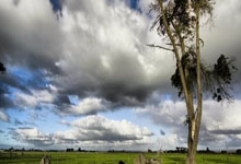 UFC格斗之夜:宋亚东技术判定胜赛胡多新华网.