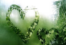 C7娱乐:中超-客场两球胜云南玉昆 北京国安收获开门红.